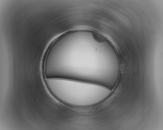 X0000111940995200907271010