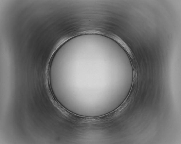 X0000111941002200907271010