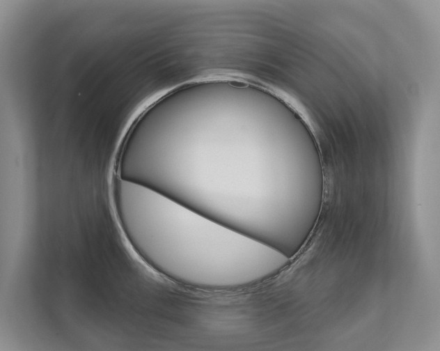X0000111941003200907271010