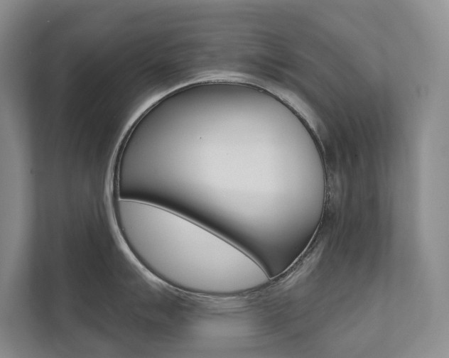 X0000111941007200907271010