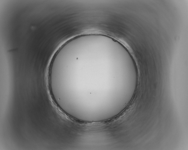 X0000111941008200907271010
