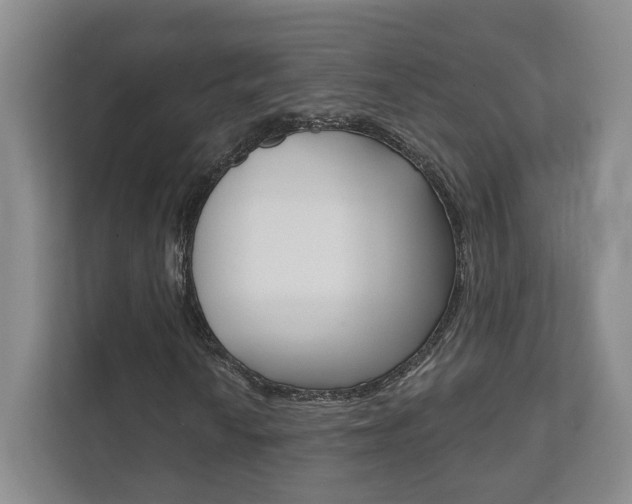 X0000111941010200907271010