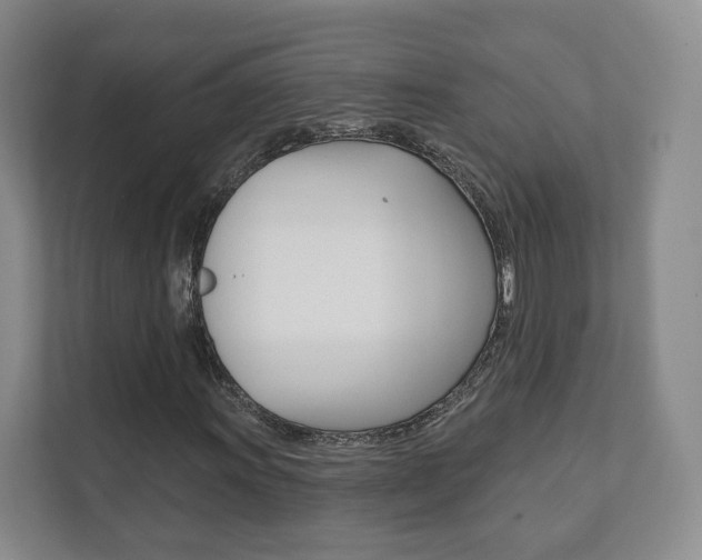 X0000111941011200907271010