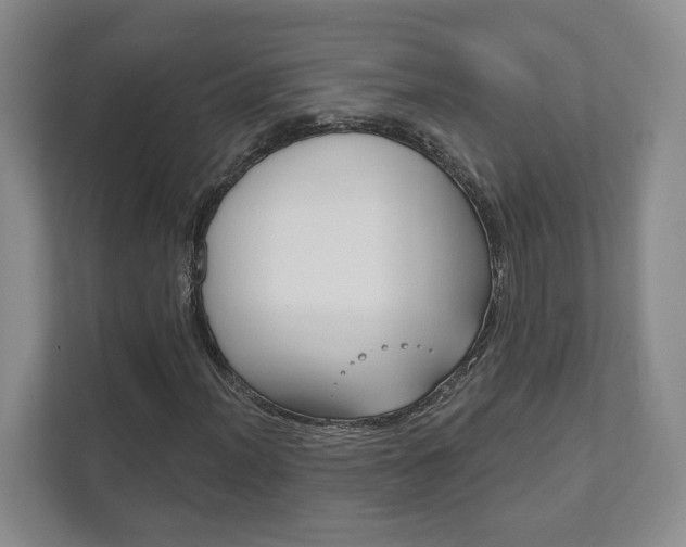 X0000111941012200907271010