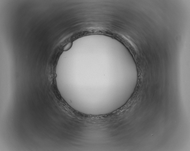 X0000111941015200907271010