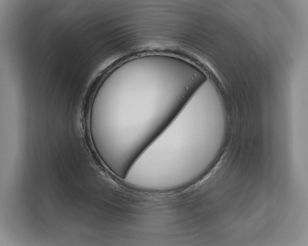 X0000111941018200907271010