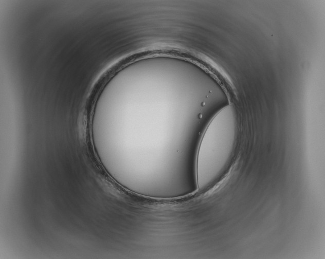 X0000111941021200907271010