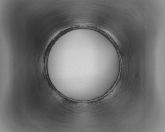 X0000111941023200907271010