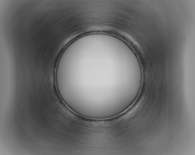X0000111941025200907271010