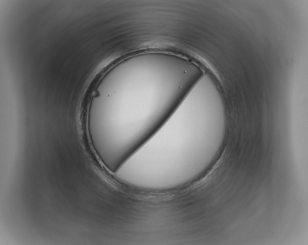 X0000111941026200907271010