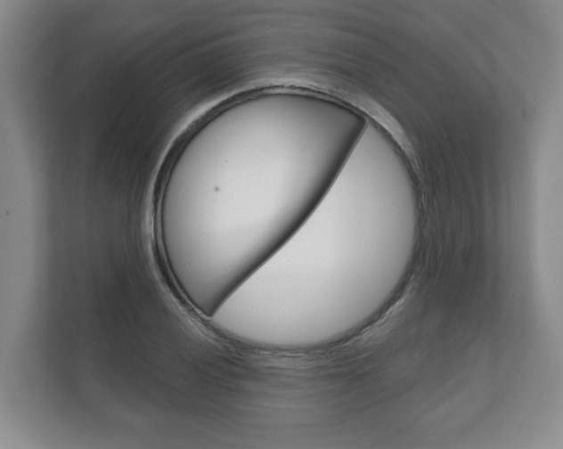 X0000111941028200907271010