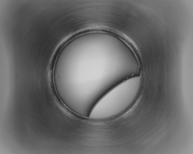 X0000111941029200907271010