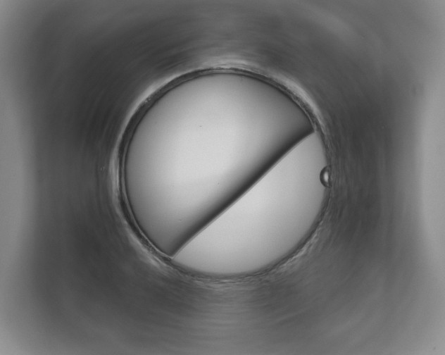 X0000111941032200907271010