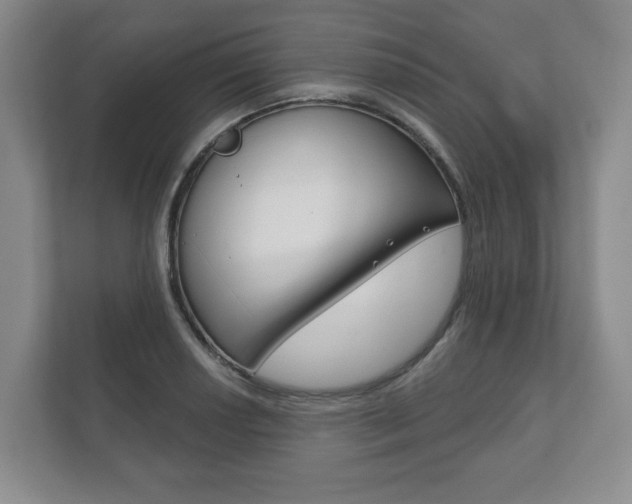 X0000111941034200907271010