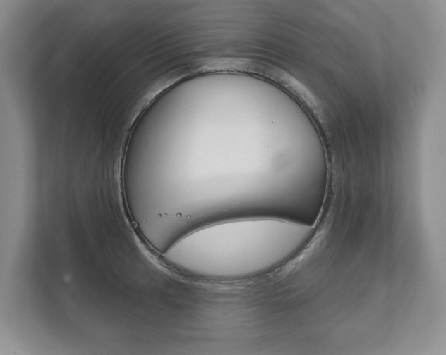 X0000111941041200907271010