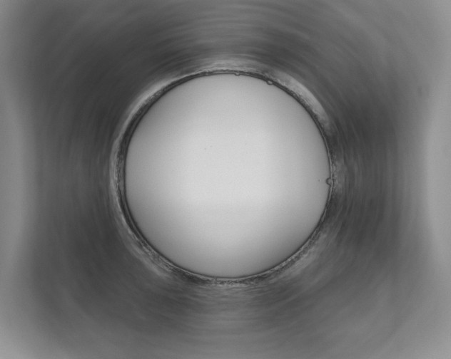X0000111941043200907271010