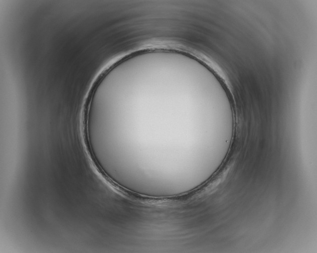 X0000111941045200907271010