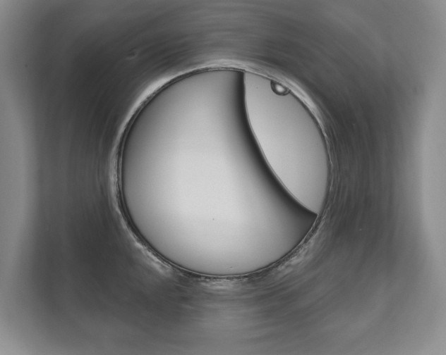X0000111941048200907271010
