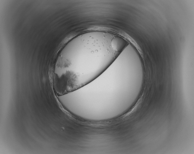 X0000111941049200907271010
