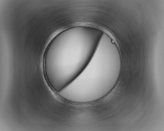 X0000111941050200907271010