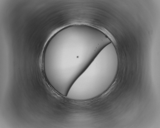 X0000111941052200907271010