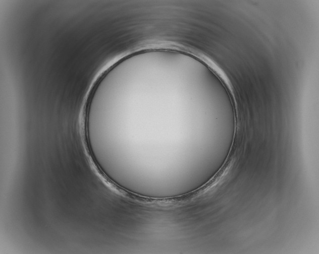 X0000111941053200907271010