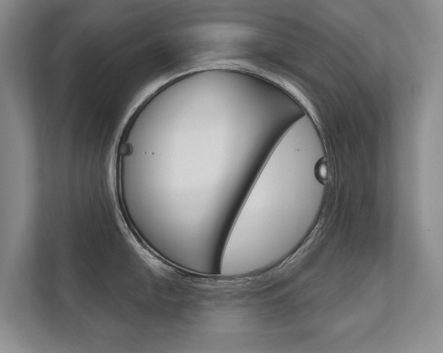 X0000111941054200907271010