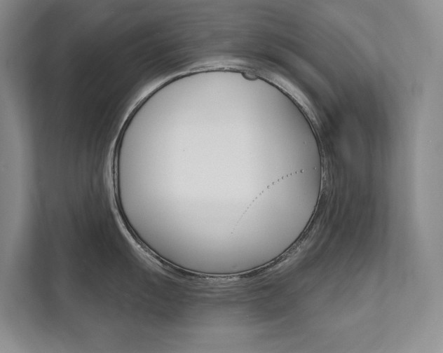 X0000111941055200907271010