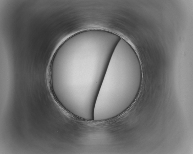 X0000111941056200907271010