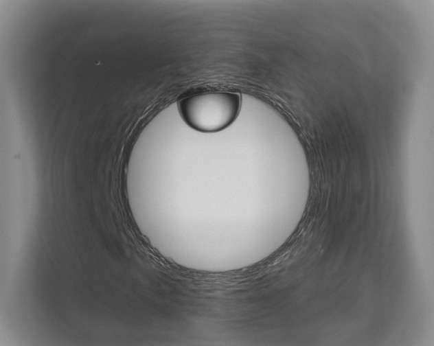 X0000111941057200907271009