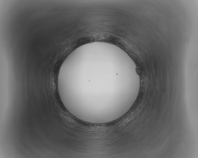 X0000111941058200907271009