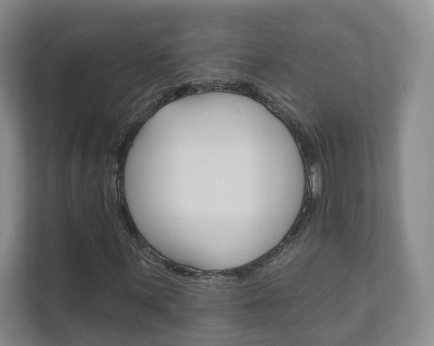 X0000111941059200907271009