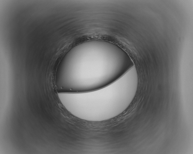 X0000111941060200907271009