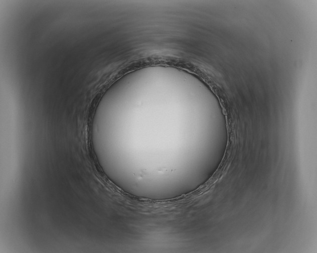 X0000111941061200907271009