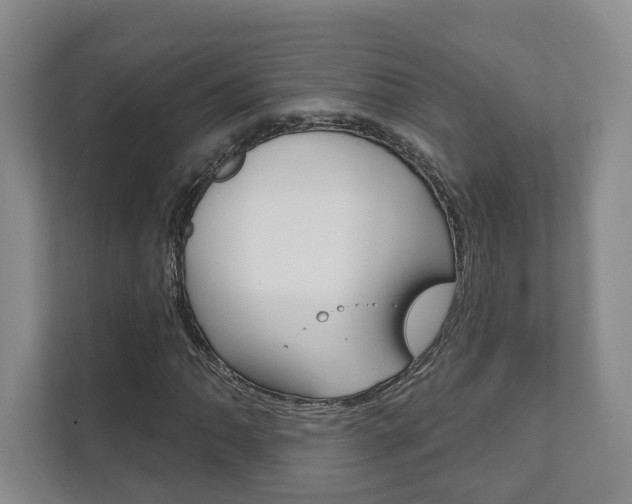 X0000111941062200907271009