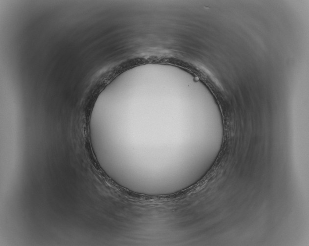 X0000111941063200907271009