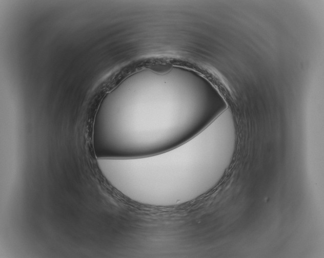 X0000111941064200907271009
