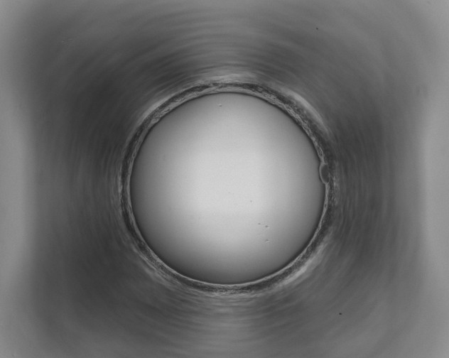 X0000111941065200907271009
