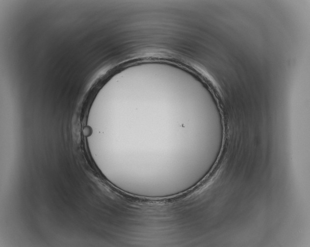 X0000111941067200907271009