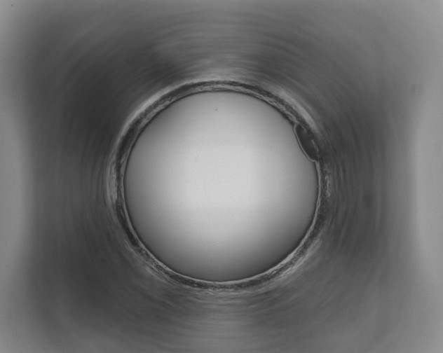 X0000111941069200907271009