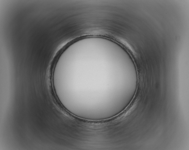 X0000111941071200907271009