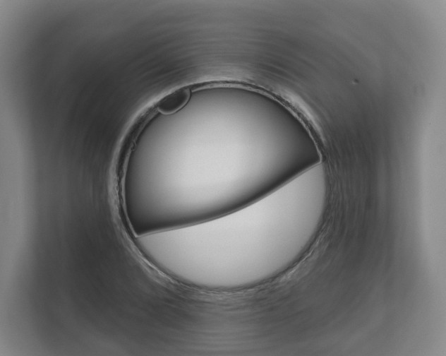 X0000111941072200907271009