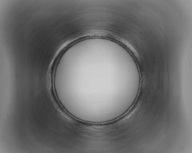 X0000111941075200907271009