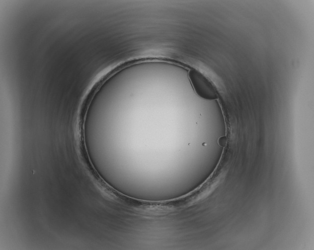 X0000111941077200907271009