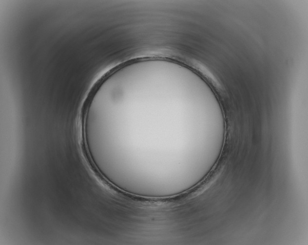 X0000111941079200907271009