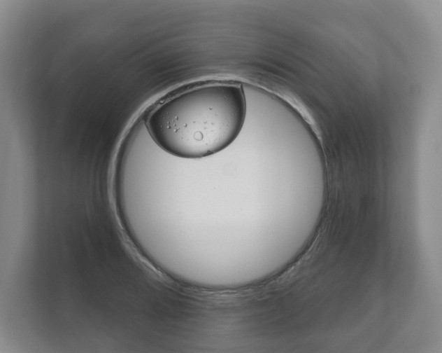 X0000111941080200907271009