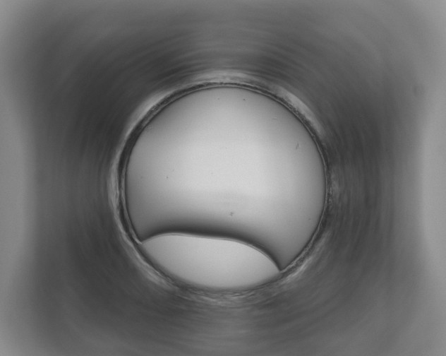 X0000111941082200907271009