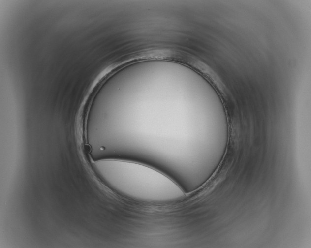 X0000111941083200907271009