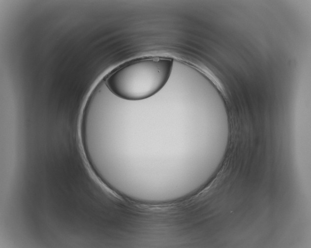 X0000111941084200907271009