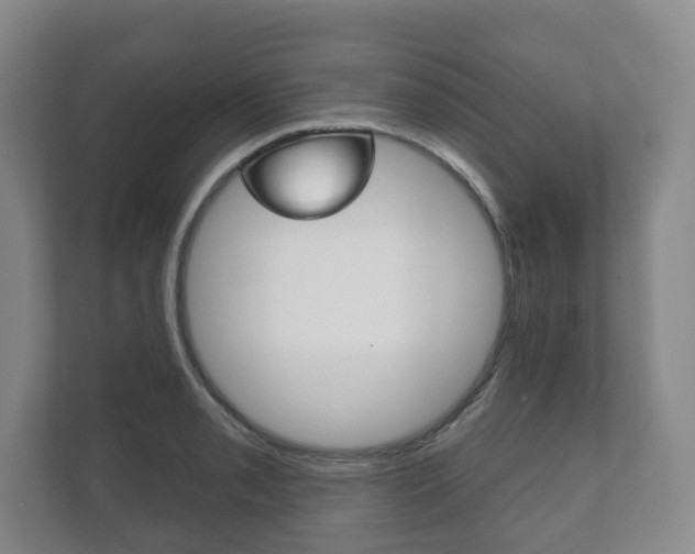 X0000111941085200907271009